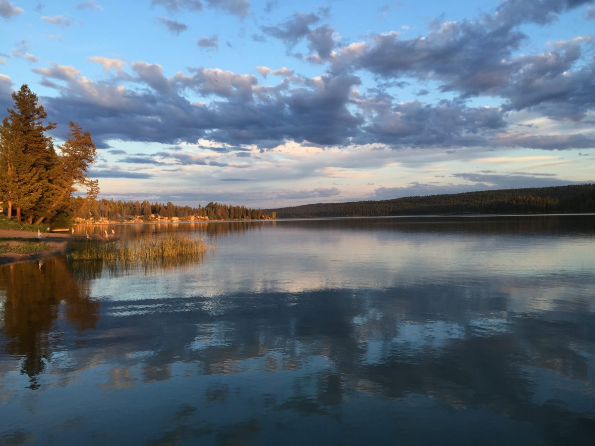 Camera Buttons and Dials - Learn About Digital Photography